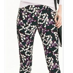 NWT Banana Republic Sloan Pants 00P